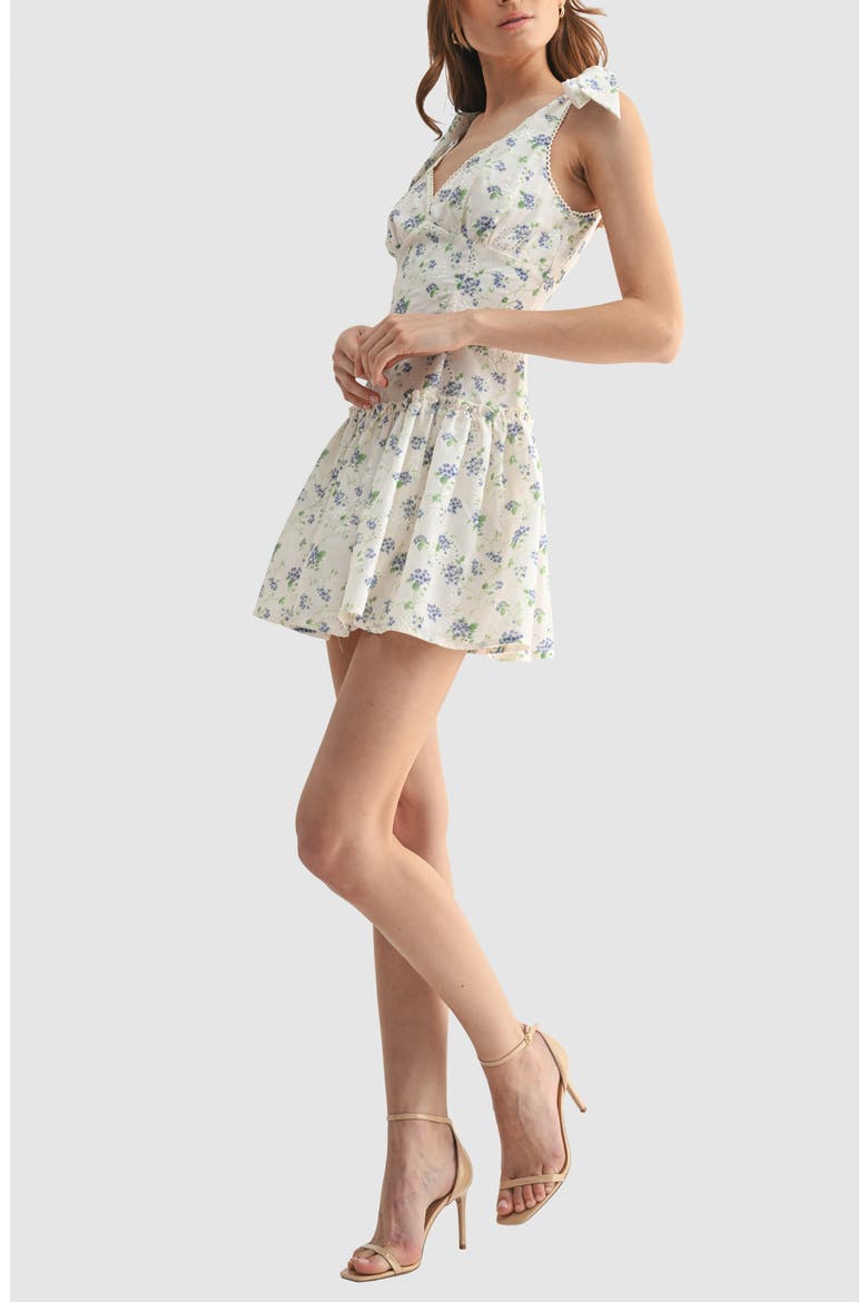 Floral Embroidered Eyelet Tie Strap Minidress, Alternate, color, CREAM/BLUE