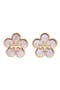  Tory Gold / Pink