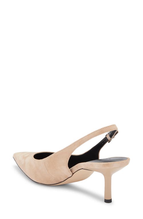 Nordstrom Liza Slingback Pointed Toe Pump