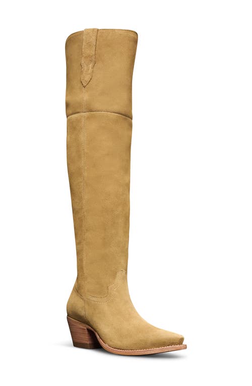 Tecovas Bailey Sahara Over The Knee Boot In Brown
