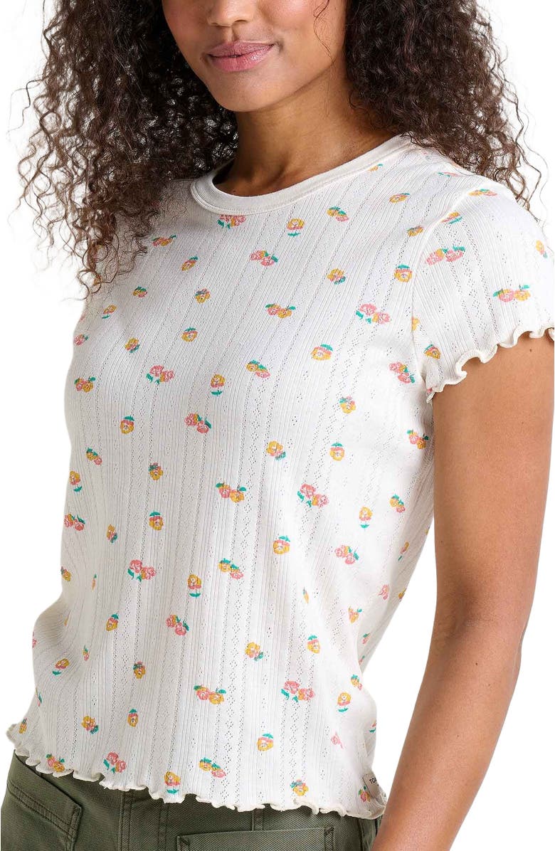 Foothill Pointelle SS Baby Tee
