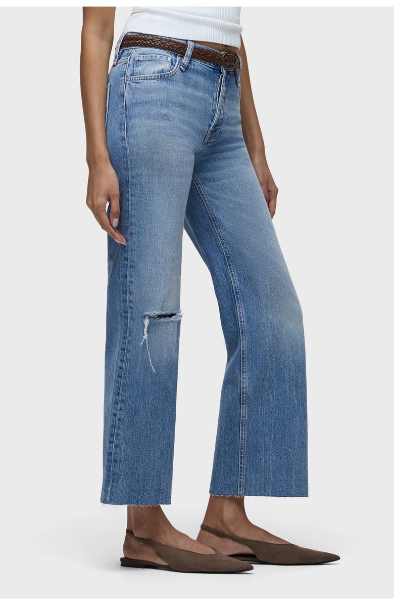 Hudson Jeans Rosie Wide Leg Ankle, Alternate, color, My Way