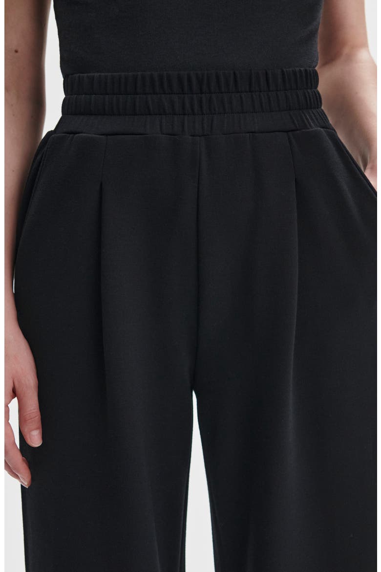 The Extra Wide Leg 29.5-Inch Pants, Alternate, color, BLACK