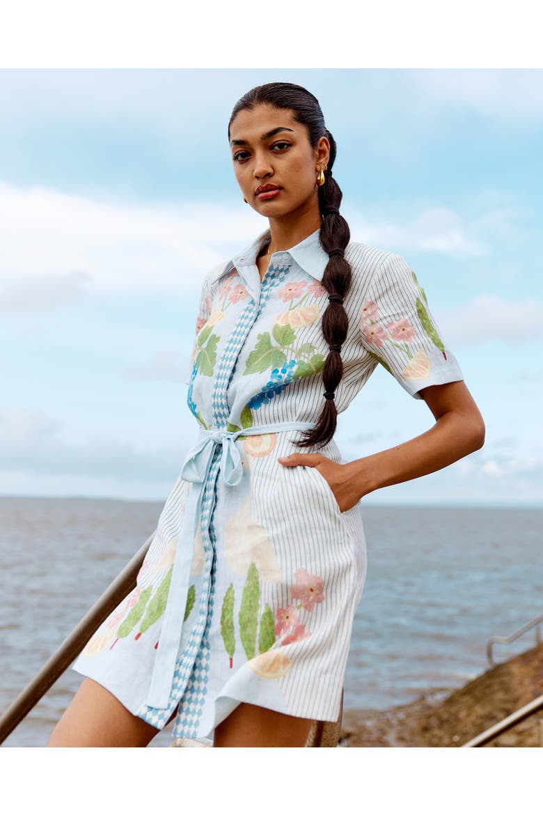 Swan Lake Mini Shirt Dress, Alternate, color, Light Blue