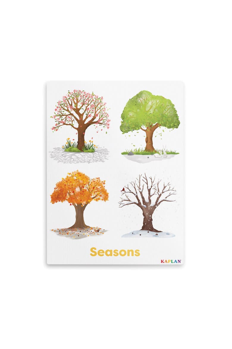 Seasons of Trees Giclee Wall Print, Main, color, brown