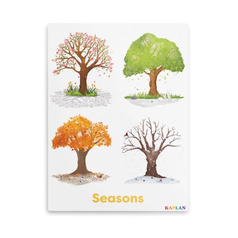 Seasons of Trees Giclee Wall Print