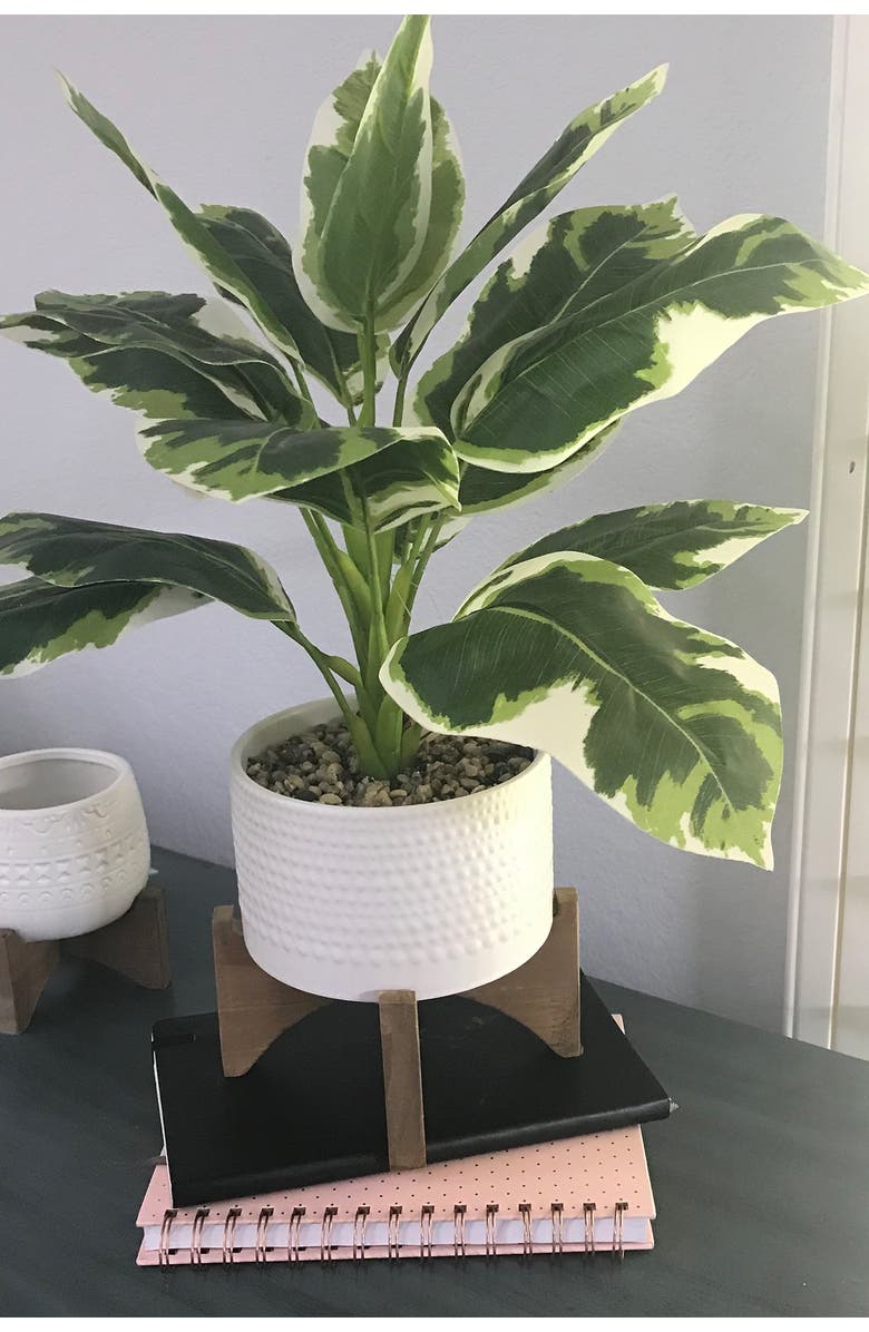 FLORA BUNDA Matte White Hobnail Ceramic Planter, Alternate, color,