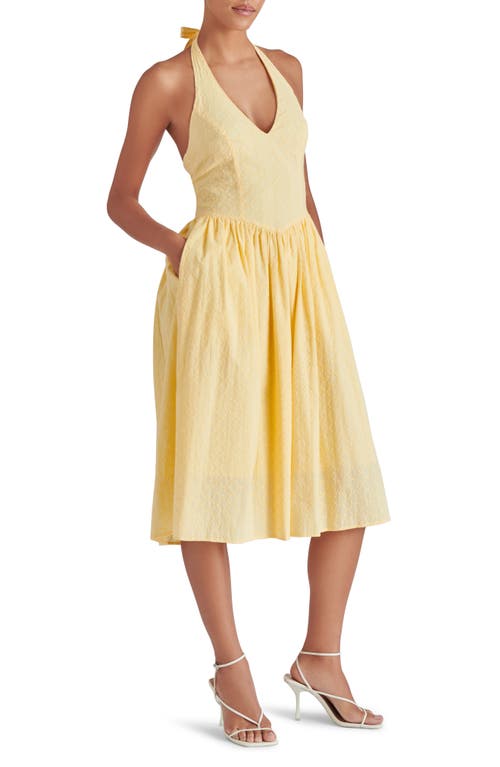 Steve Madden Ressi Eyelet Embroidered Cotton Halter Dress In Golden Glow