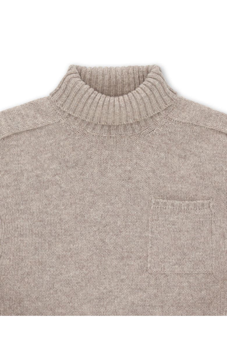 Fortela Mallory Merino Wool High Neck Sweater, Alternate, color, Taupe