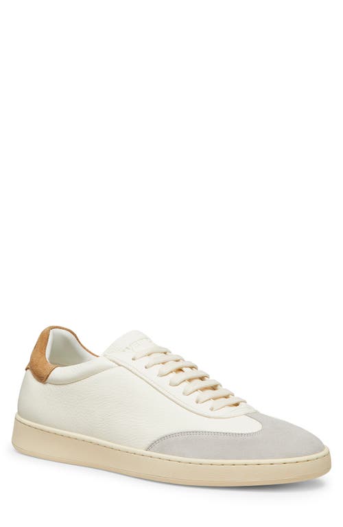 Stuart Weitzman Banner Sneakers In White Bianco/oatmeal/biscuit