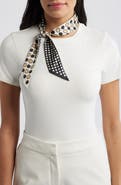Echo Spot & Dot Silk Satin Ribbon Scarf