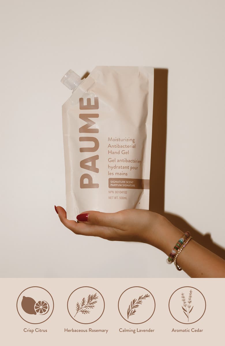 PAUME Sanitize At Home Kit $68 Value, Alternate, color, 