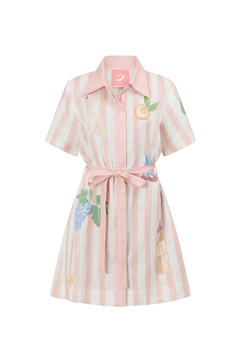 Boat Days Mini Shirt Dress, Main, color, Light Pink