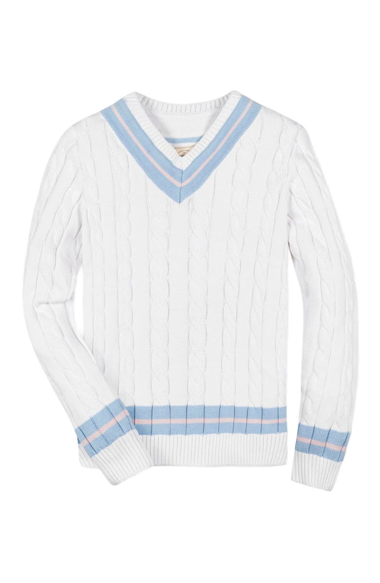 Hope & Henry Men's Organic V-Neck Cricket Sweater, Alternate, color, 