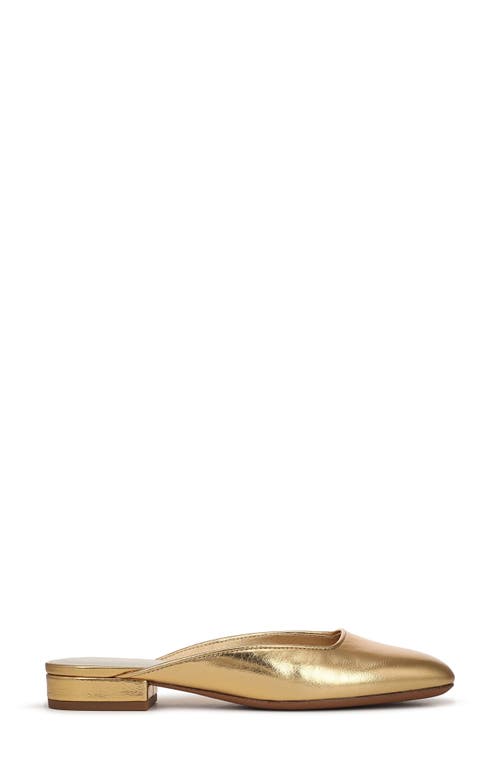 Franco Sarto Dayla Mule