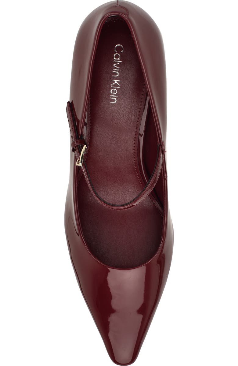Calvin Klein Naprina Pointed Toe Mary Jane Pump, Alternate, color, Red Patent