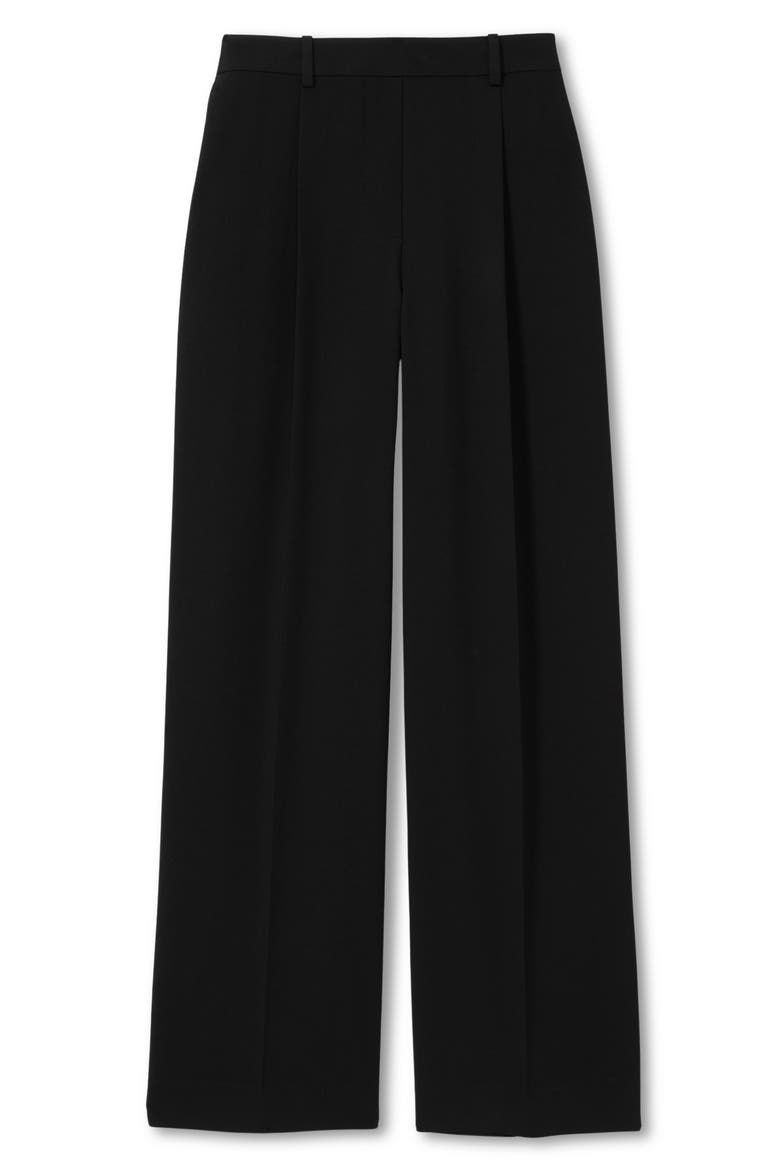 Eden Pleated Wide Leg Pants, Alternate, color, BLACK
