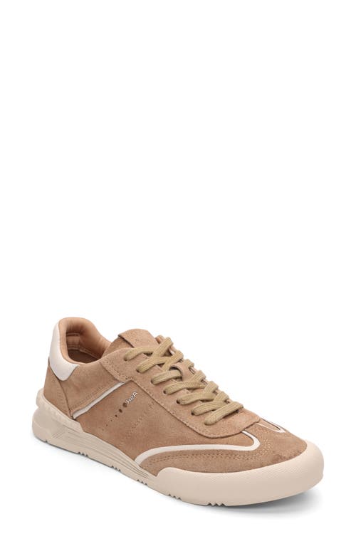 Ash Podium Sneaker In Noisette/gardenia