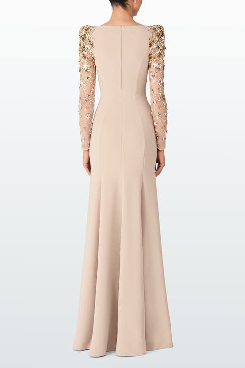 Jenny Packham Sylvia Maxi Dress In Pink