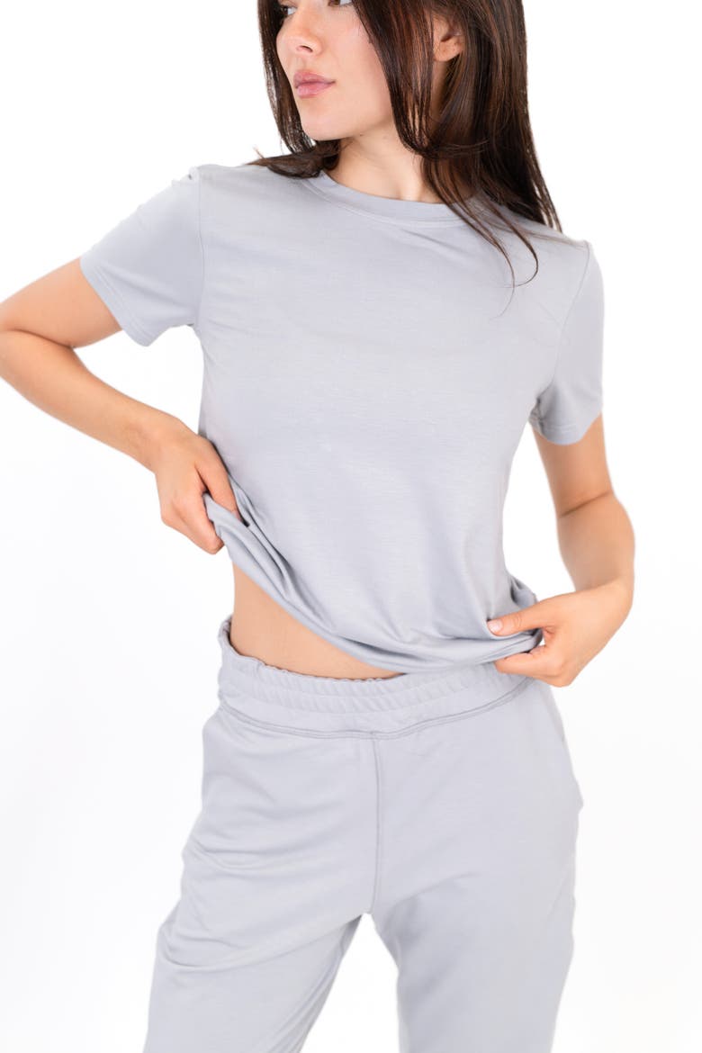 The Everyday Tee, Alternate, color, gray
