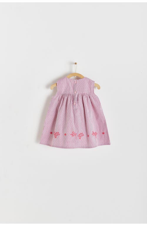 Shop Babycottons Turin Dress In Red