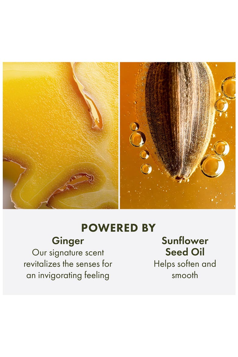 Ginger Hand & Body Lotion, Alternate, color, NO COLOR