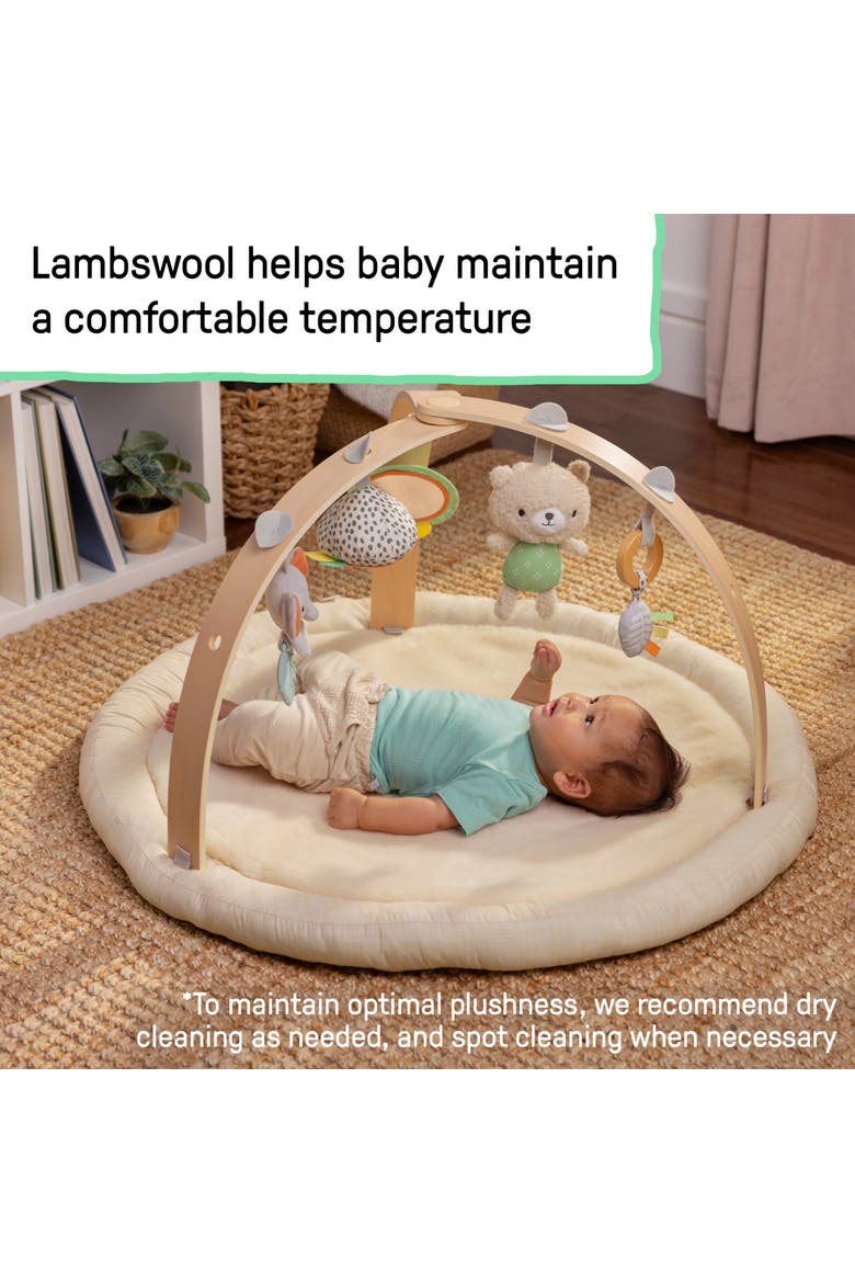 Every Season Plush Lambswool Baby Play Gym, Alternate, color, ALMOND
