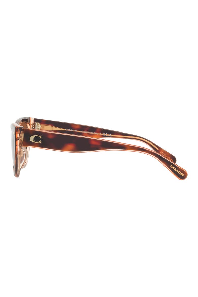 54mm Gradient Cat Eye Sunglasses, Alternate, color, TORTOISE