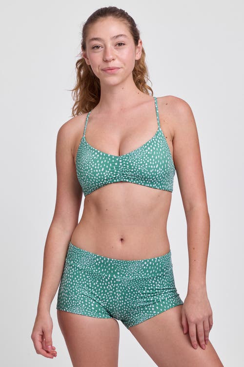 Shop Jolyn Piha Surf Short
