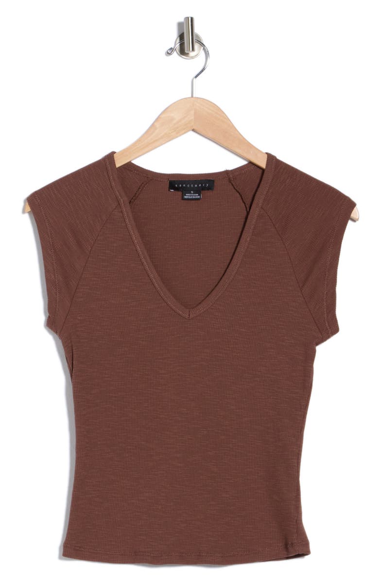 Sanctuary Raglan Sleeve V-Neck Top, Main, color, Hickory Brown