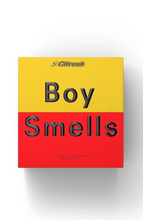 Boy Smells Citrush Standard Candle In Multi