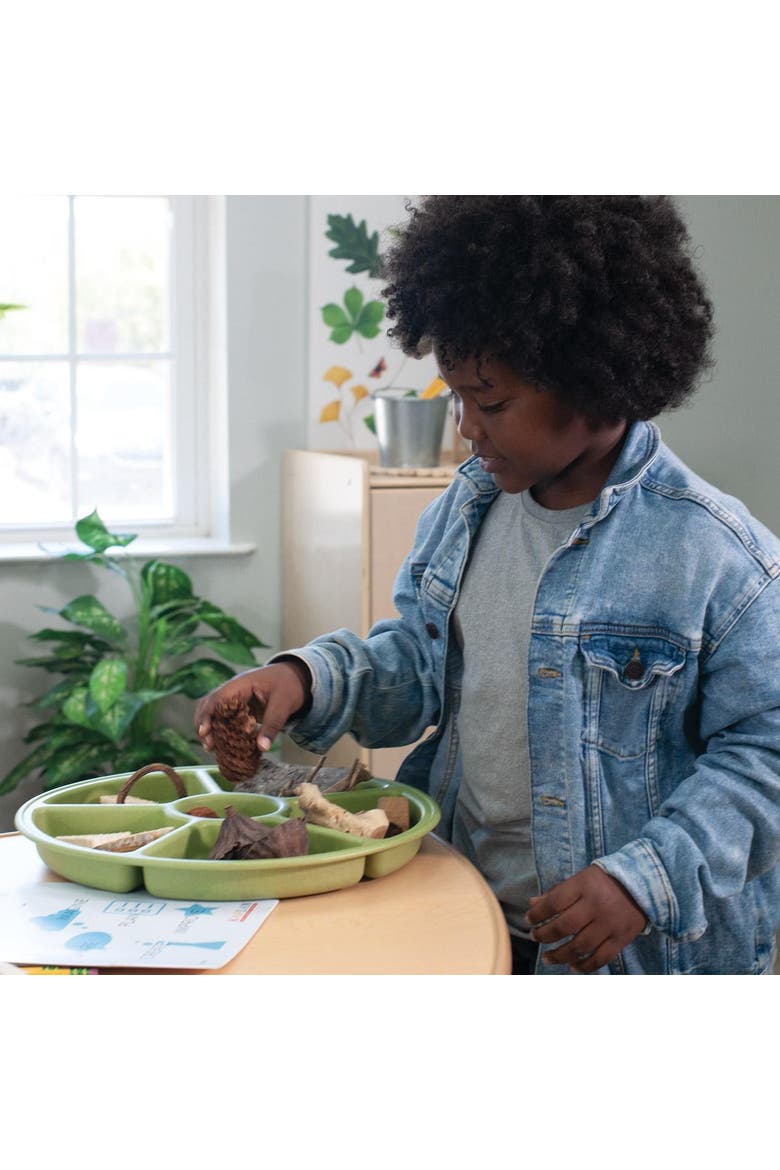 Loose Parts Sorting Trays - Set of 4 - Earth-toned, Alternate, color, Earth-Toned