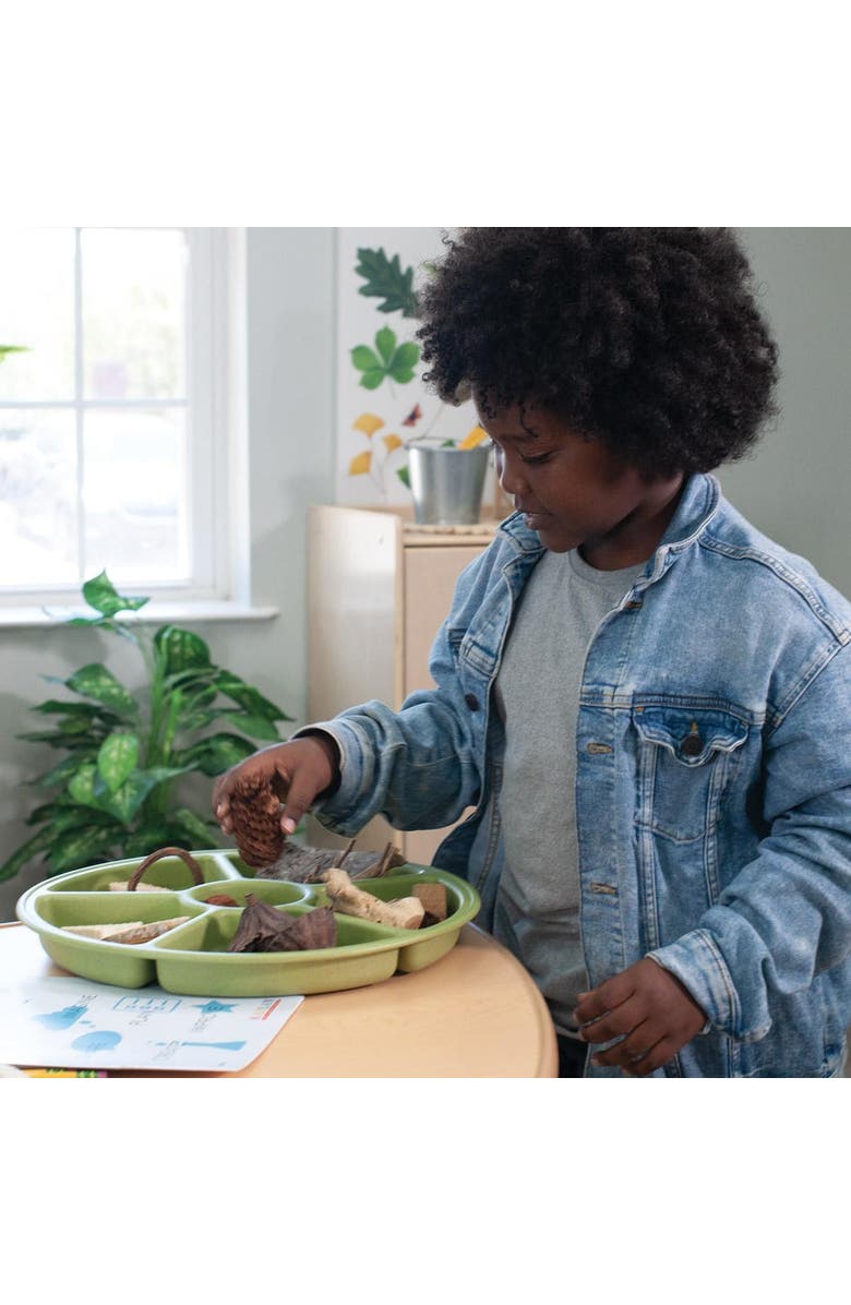 Kaplan Early Learning Company Loose Parts Sorting Trays - Set of 4 - Earth-toned, Alternate, color, Earth-Toned