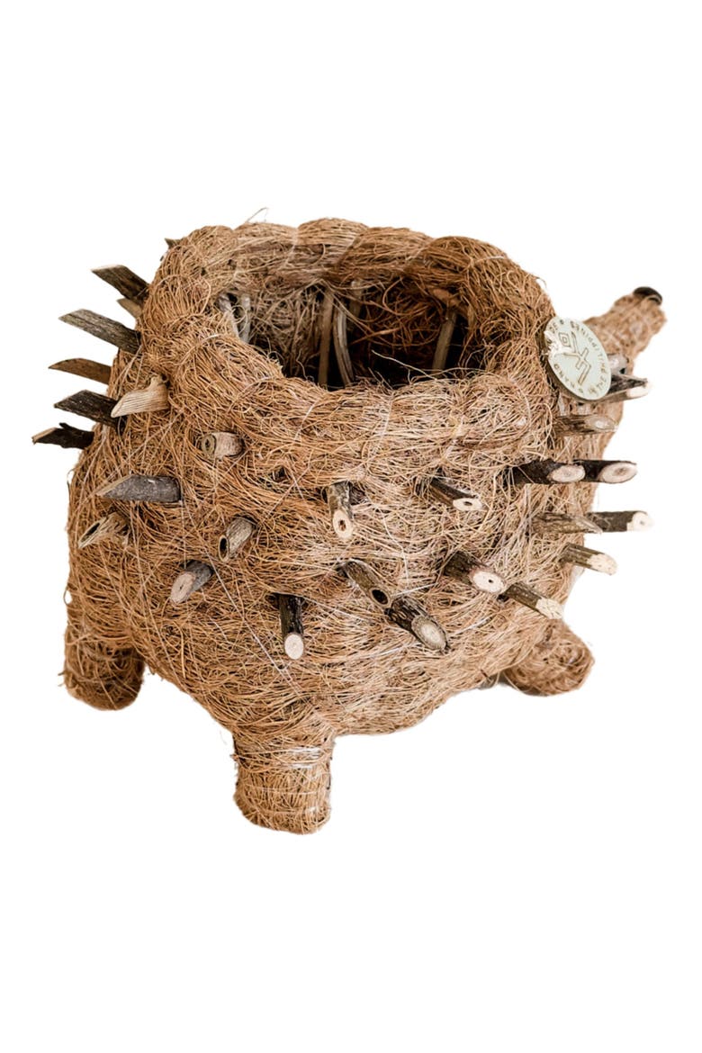 Baby Hedgehog Handwoven Planter, Alternate, color, BROWN