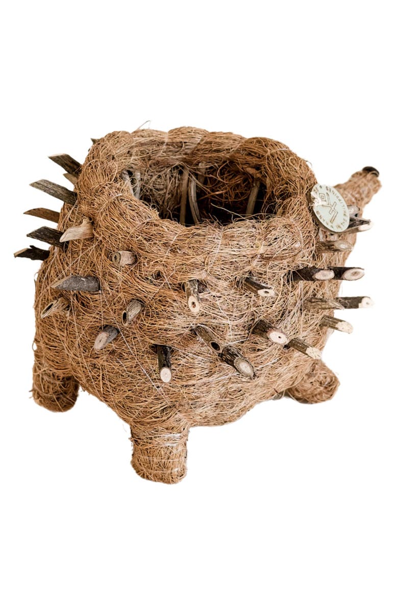 LIKHA Baby Hedgehog Handwoven Planter, Alternate, color, Brown