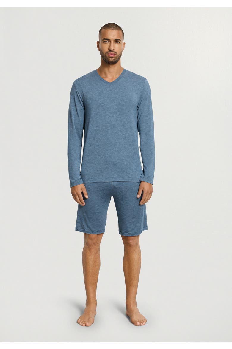 Casuals Long Sleeve V-Neck Top, Alternate, color, Retro Blue Melange