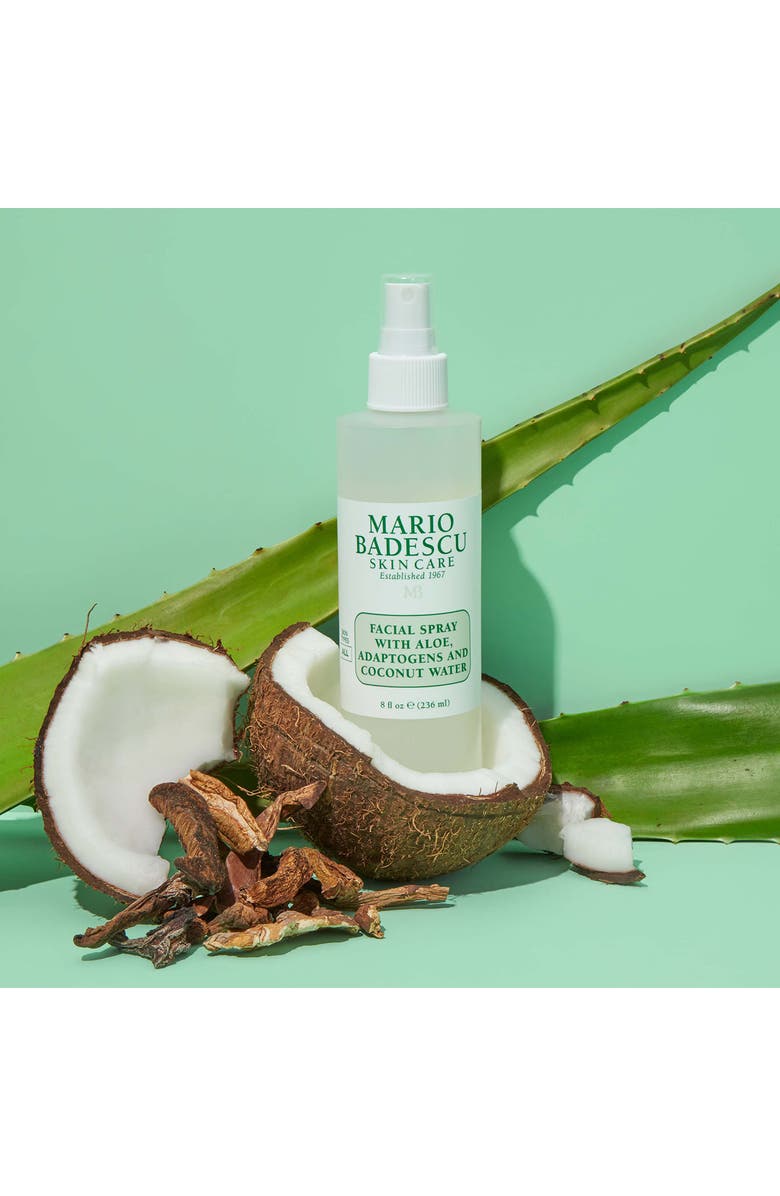 Mario Badescu Clean Facial Spray, Alternate, color, 