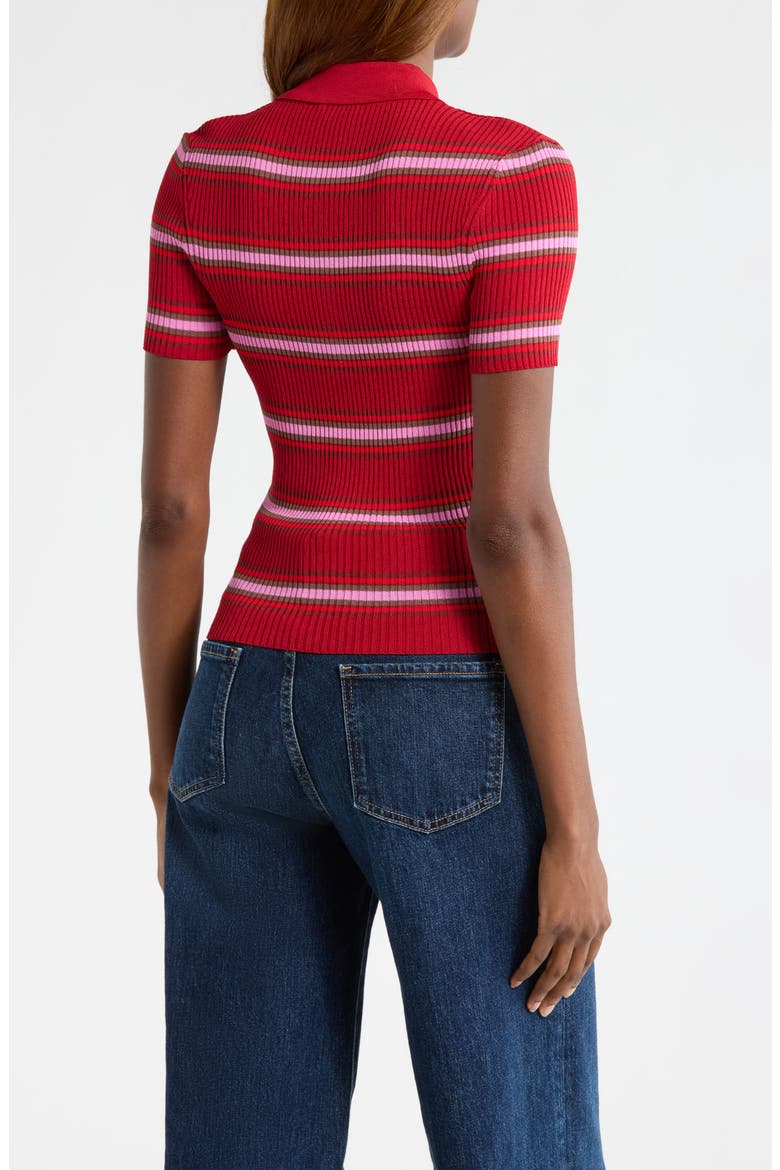 Ren Stripe Rib Polo Sweater, Alternate, color, DANA STRIPE