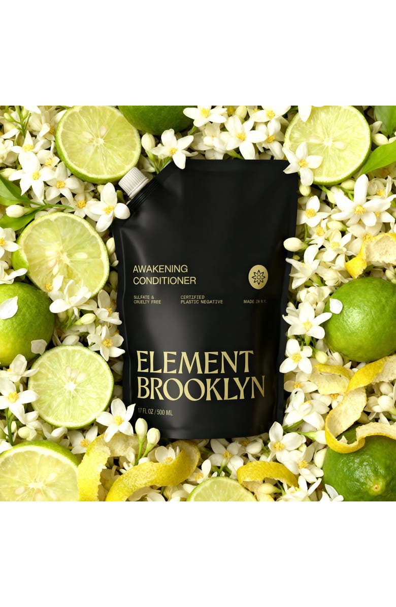 Element Brooklyn Awakening Conditioner, Alternate, color, Awakening