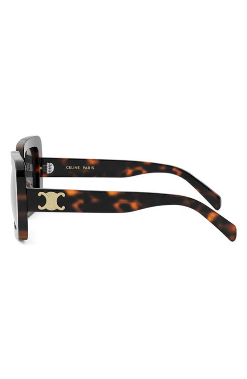 Celine Triomphe Acetate Square Sunglasses In Black