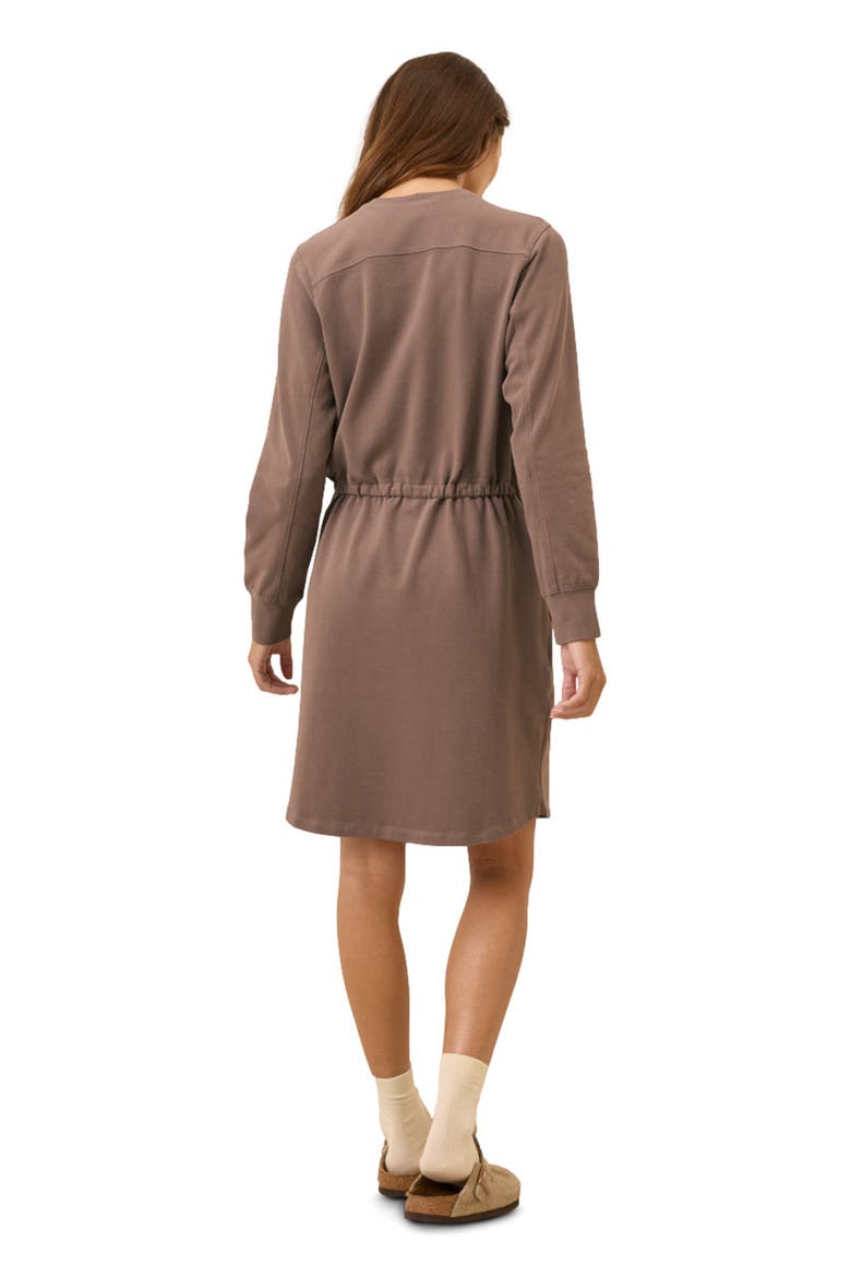 Organic Cotton CloudKnit Sweatshirt Dress, Alternate, color, Deep Taupe