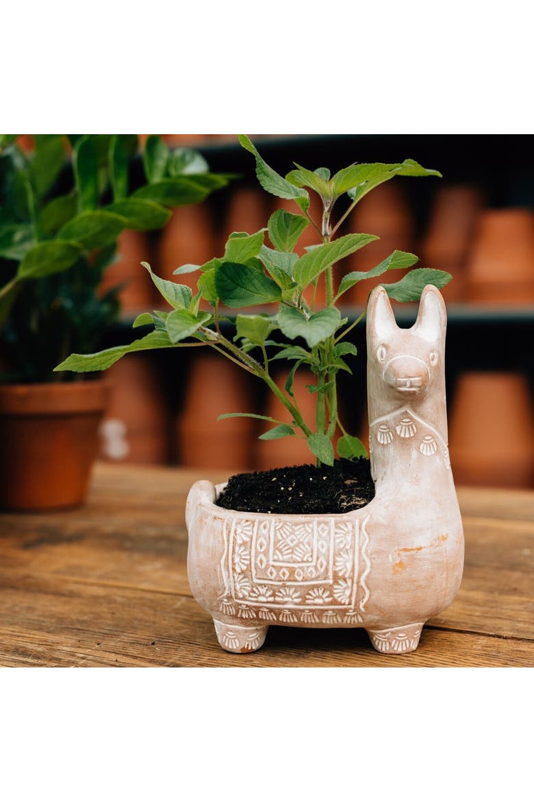 Llama Terracotta Planter, Alternate, color, Beige