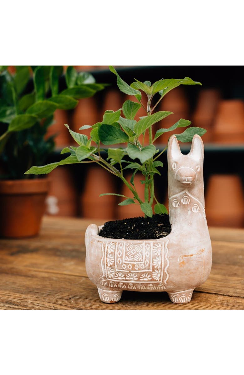 Ten Thousand Villages Llama Terracotta Planter, Alternate, color, Beige