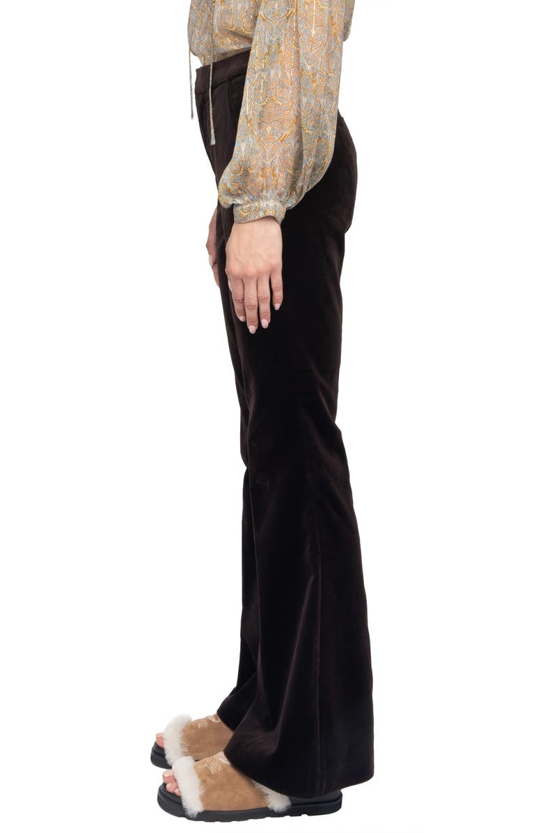 Zadig & Voltaire Prevy Cotton Velveteen Flare Leg Pants, Alternate, color, Dark Chocolate