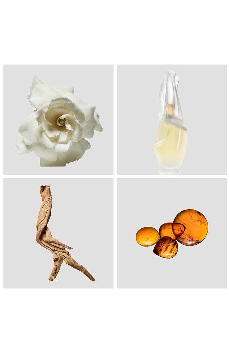 Donna Karan New York Donna Karan 'Cashmere Mist' Eau de Toilette Spray, Alternate, color, 