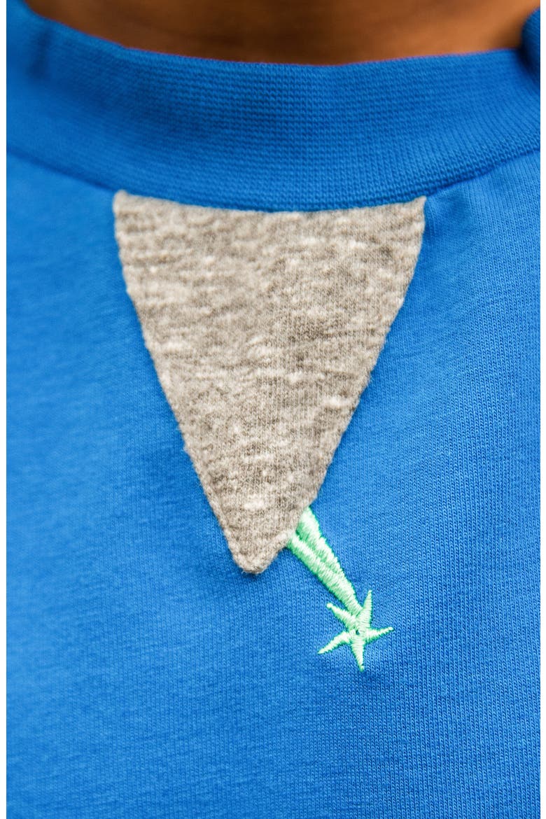 Kids' Iggy Stargazer Embroidered Short Sleeve Sweatshirt, Alternate, color, STARGAZER