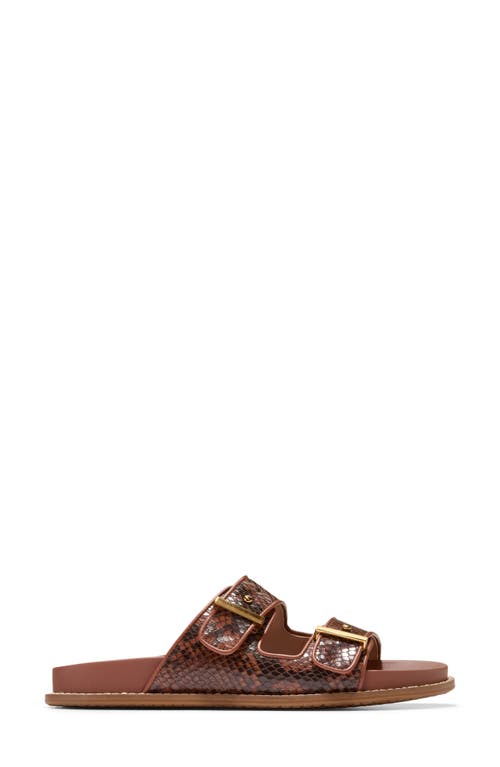 Cole Haan Marisol Sandal In Dark Cuoio Snake Print Leather