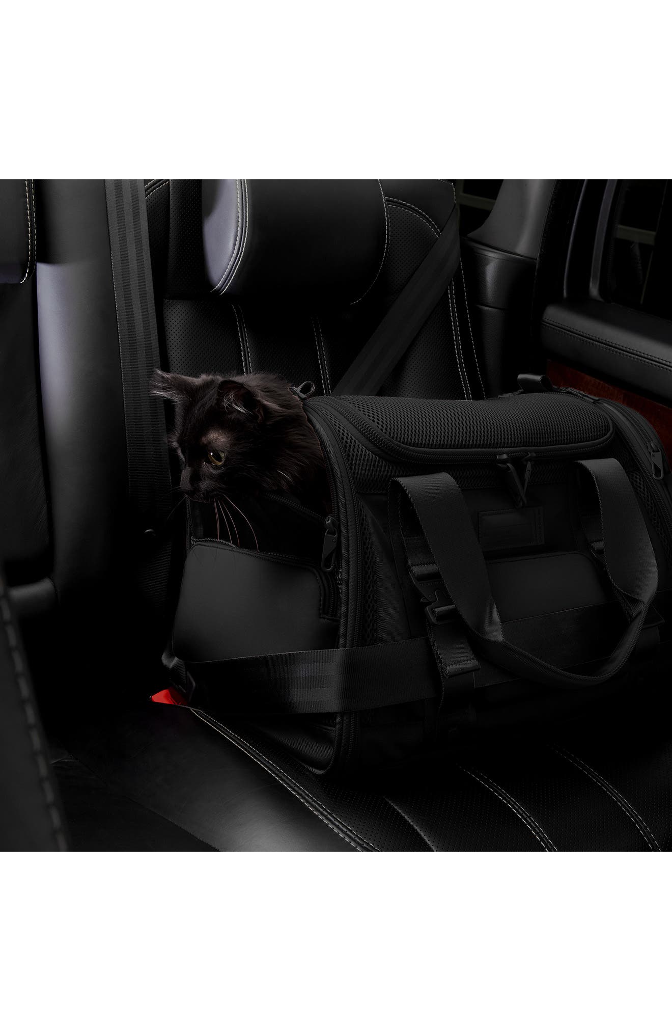 Dagne Dover Kyoto Small Pet Carrier, Alternate, color, Onyx