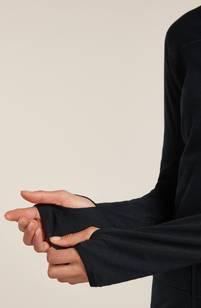 Icebreaker 300 Descender Full Zip Jacket, Alternate, color, Black