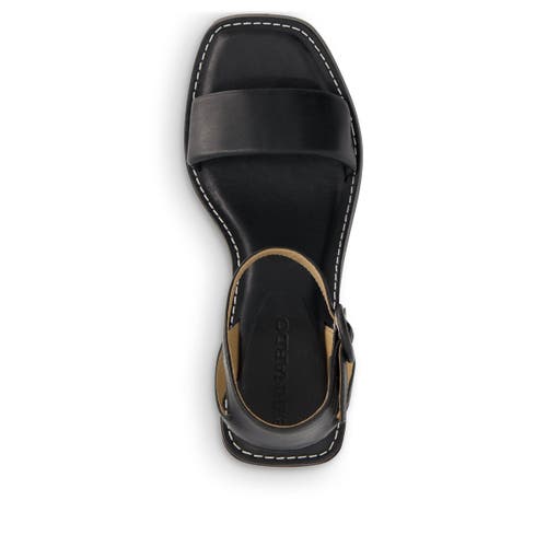 BERNARDO FOOTWEAR BERNARDO FOOTWEAR BRISI HEELED SANDAL
